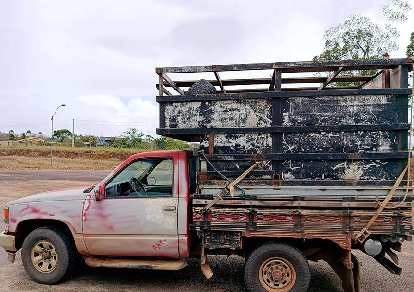 Veículo com transporte irregular de bovinos é apreendido em Vitória da Conquista
