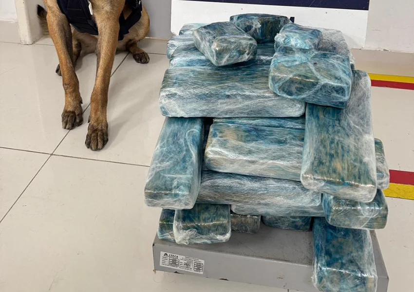 PRF apreende 26 kg de maconha em ônibus interestadual na BR-116 em Vitória da Conquista