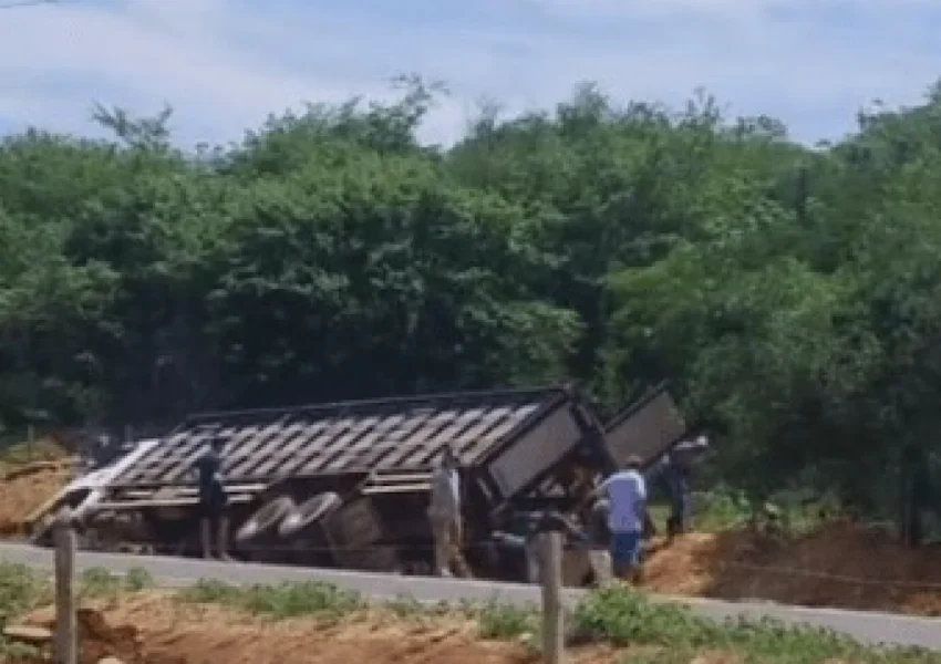 Carreta carregada de gado tomba após motorista desviar de veículo em Malhada