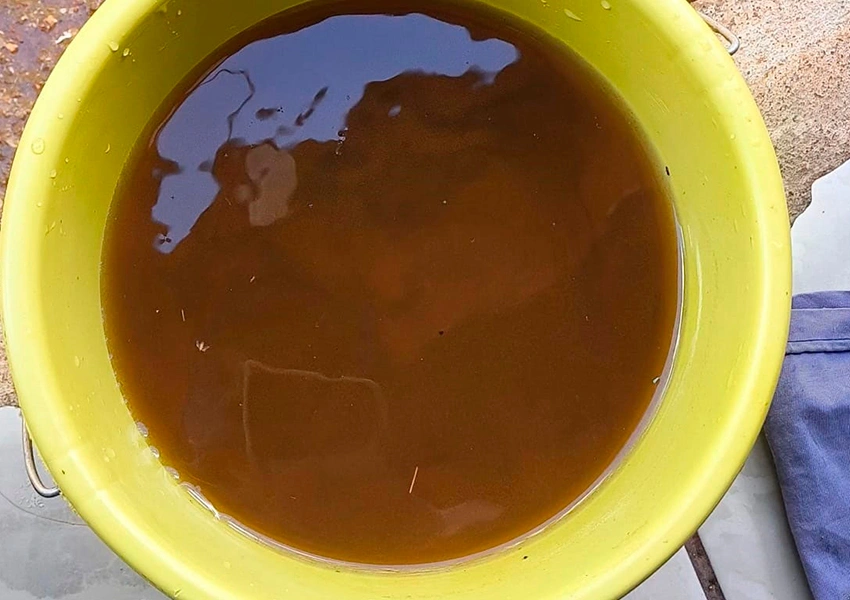 Moradora questiona qualidade da água fornecida pelo SAAE em Dom Basílio