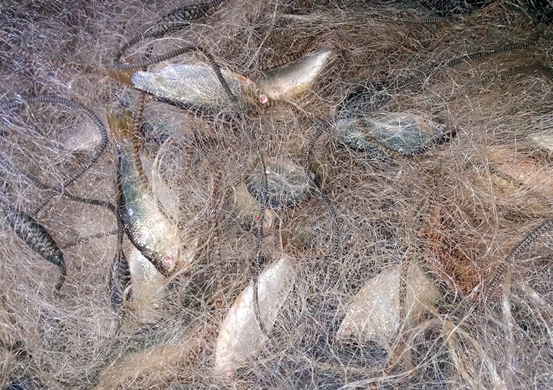 Redes de pesca são apreendidas na Barragem Luís Vieira em Rio de Contas durante período de piracema