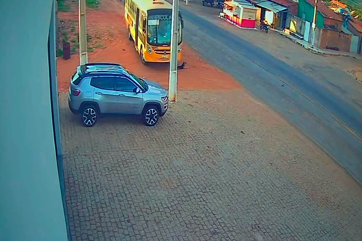 Ônibus escolar atropela e mata cachorro em Paramirim e moradores cobram explicações