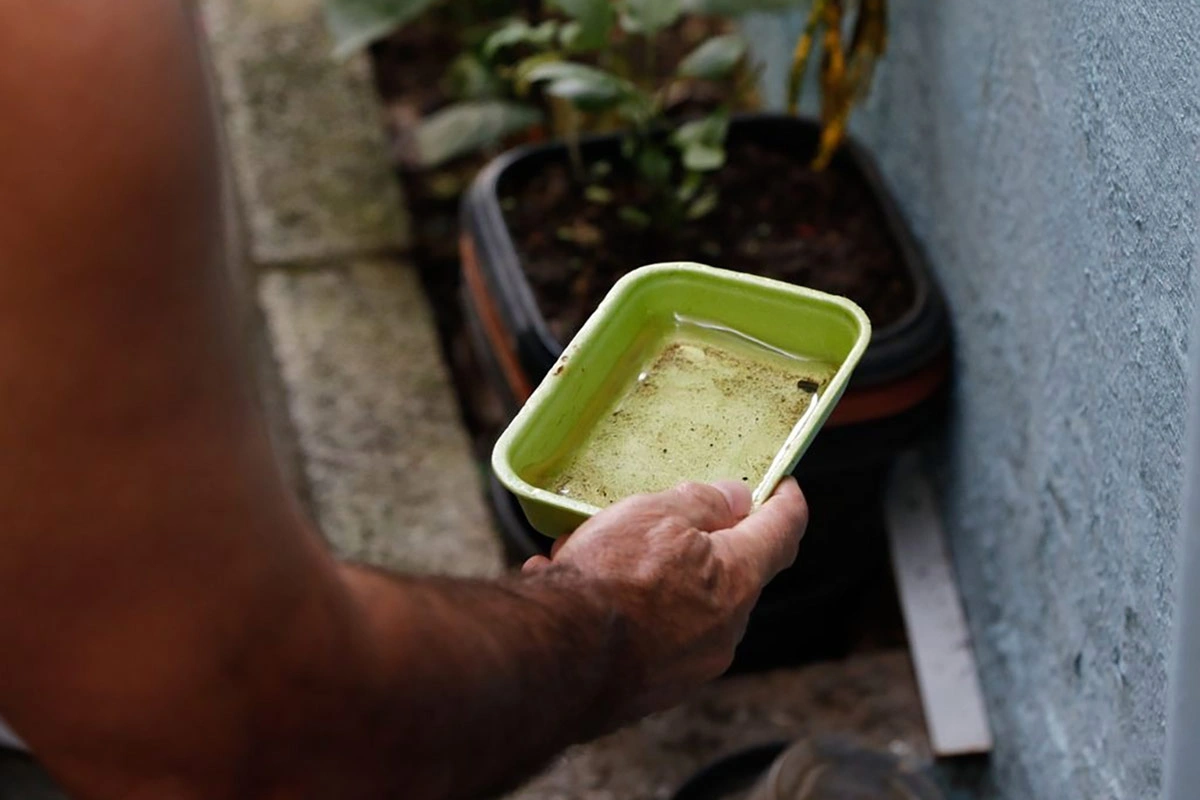 Vitória da Conquista registra 26 novos casos suspeitos de dengue