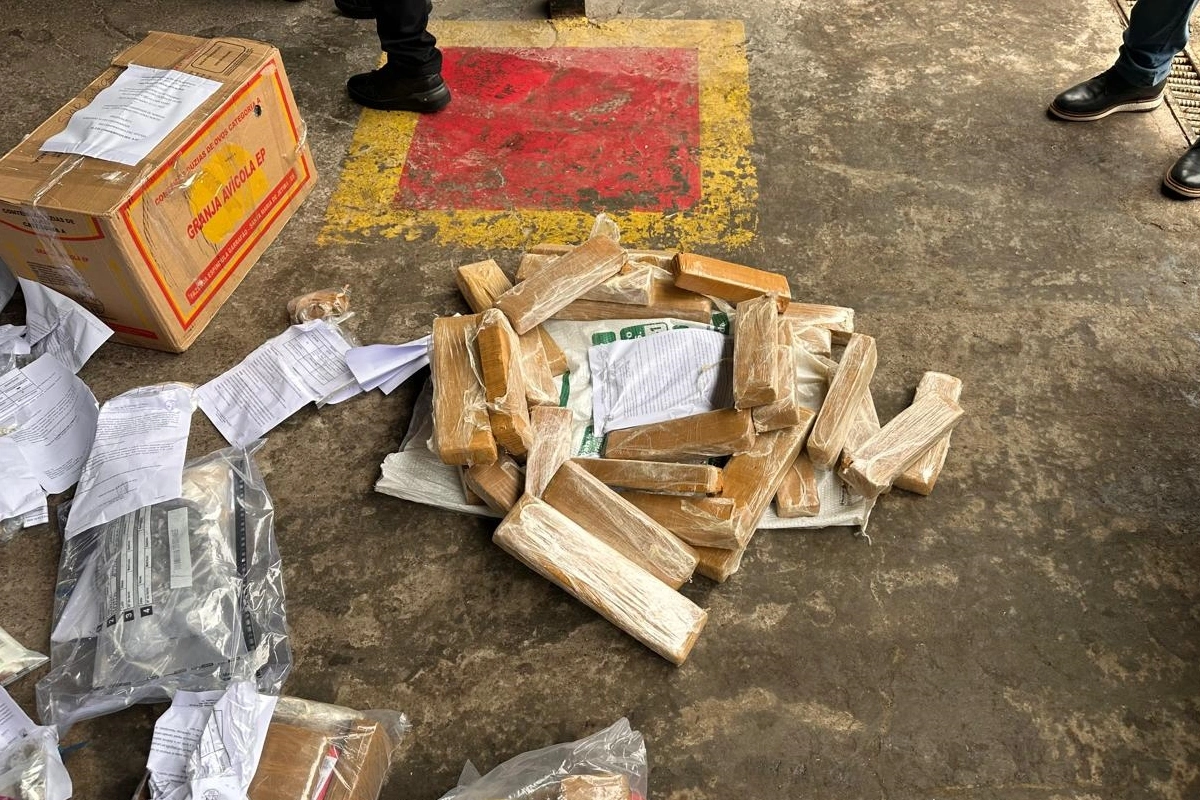 Polícia Civil incinera 55 kg de drogas apreendidas em Cândido Sales