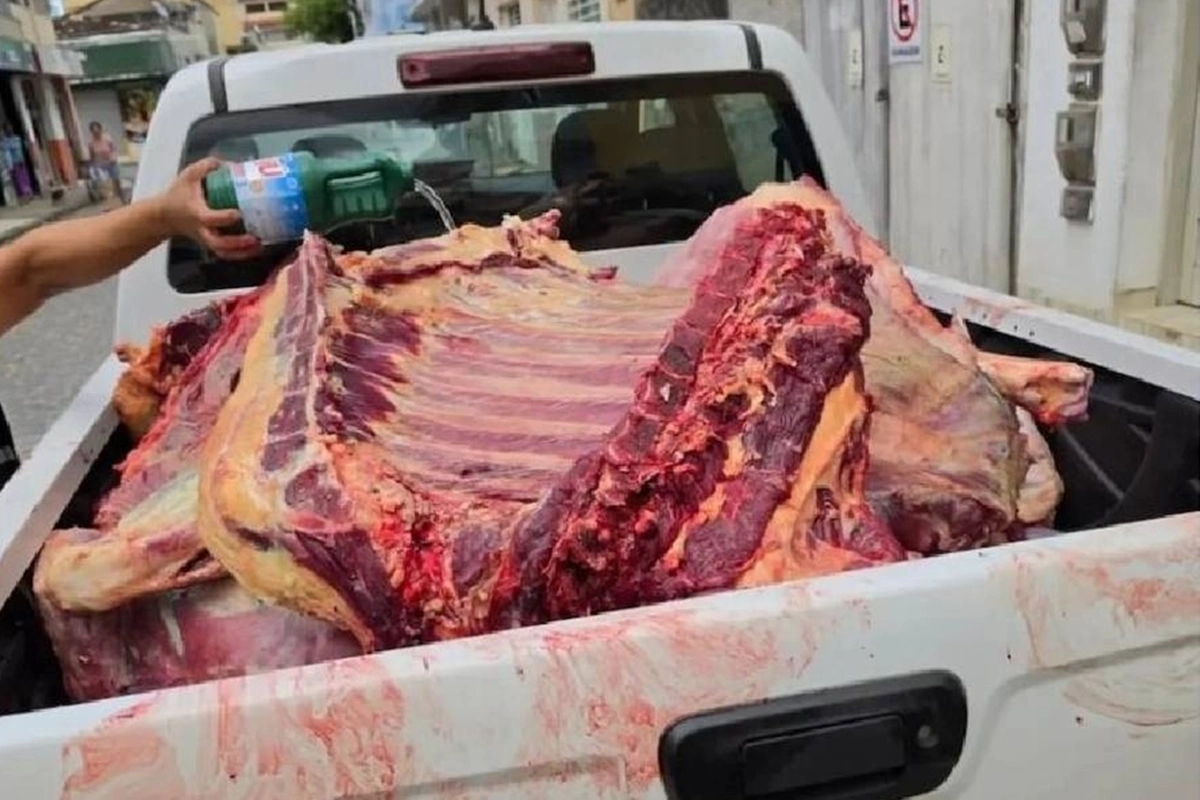 Operação apreende 800 kg de carne imprópria para consumo em Ibicaraí