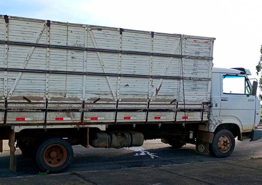 Polícia Rodoviária apreende caminhão com transporte irregular de bovinos em Vitória da Conquista