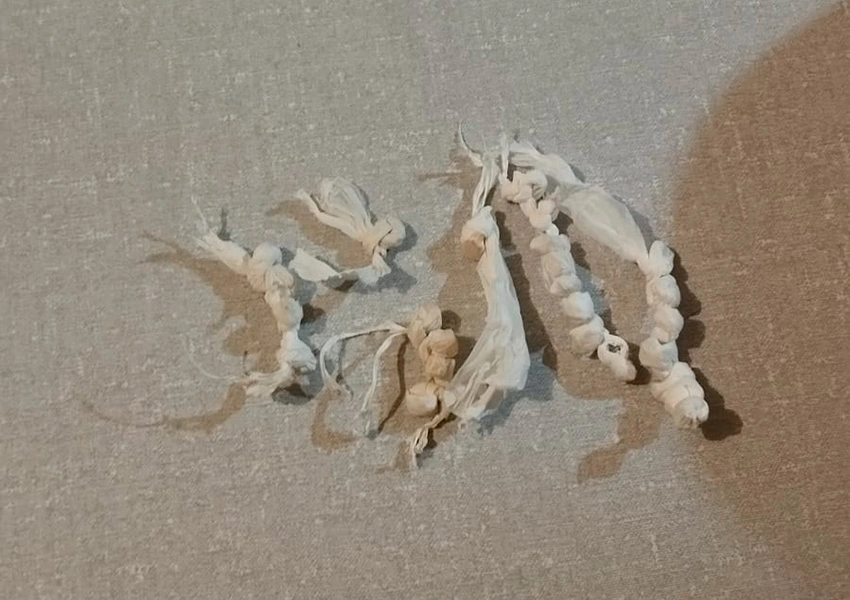 Adolescente é apreendido com drogas durante Carnaval em Guanambi