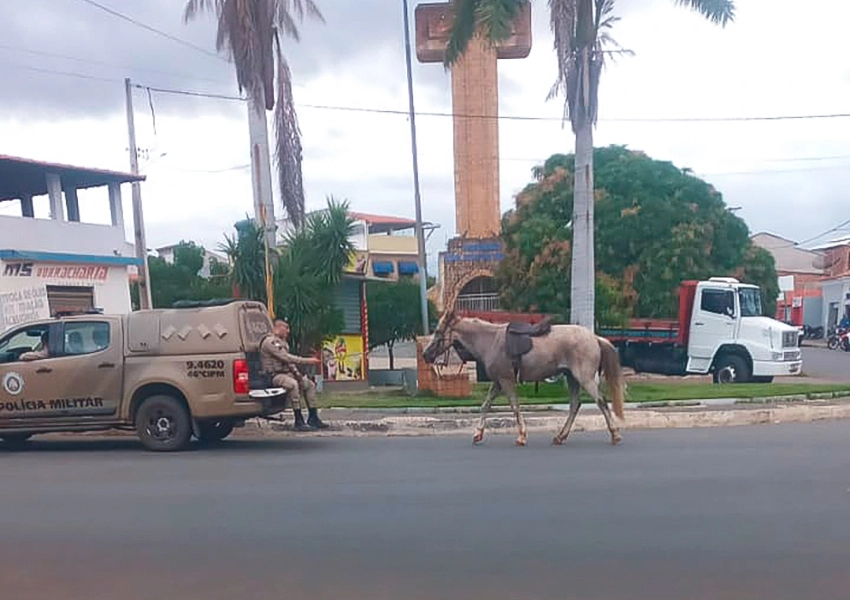 Homem é detido por agressão, ameaça e maus-tratos a cavalo em Livramento de Nossa Senhora