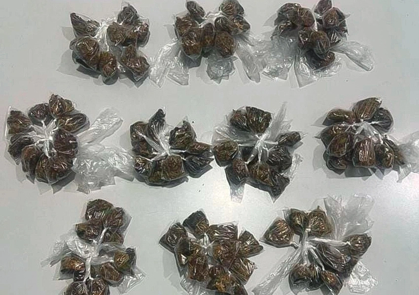 Cipe Sudoeste apreende maconha após perseguição em Paramirim; suspeitos fugiram